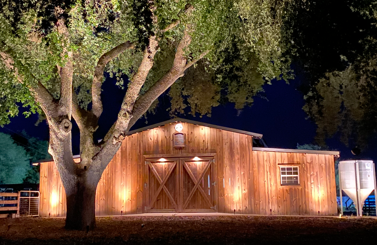 Custom outdoor lighting design illuminating a barn and large oak tree with warm white landscape uplighting in Lady Lake, FL