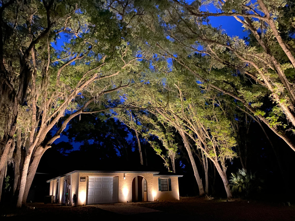 Landscape lighting and tree uplighting illuminating a residential home in The Villages Florida outdoor lighting installation