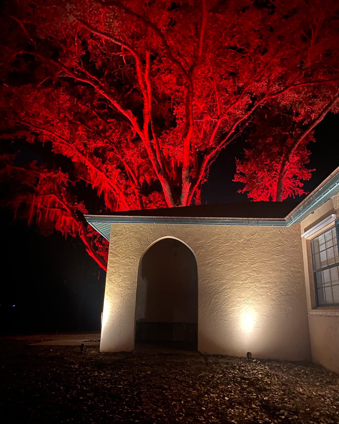 red-oak-tree-landscape-lighting-the-villages-fl