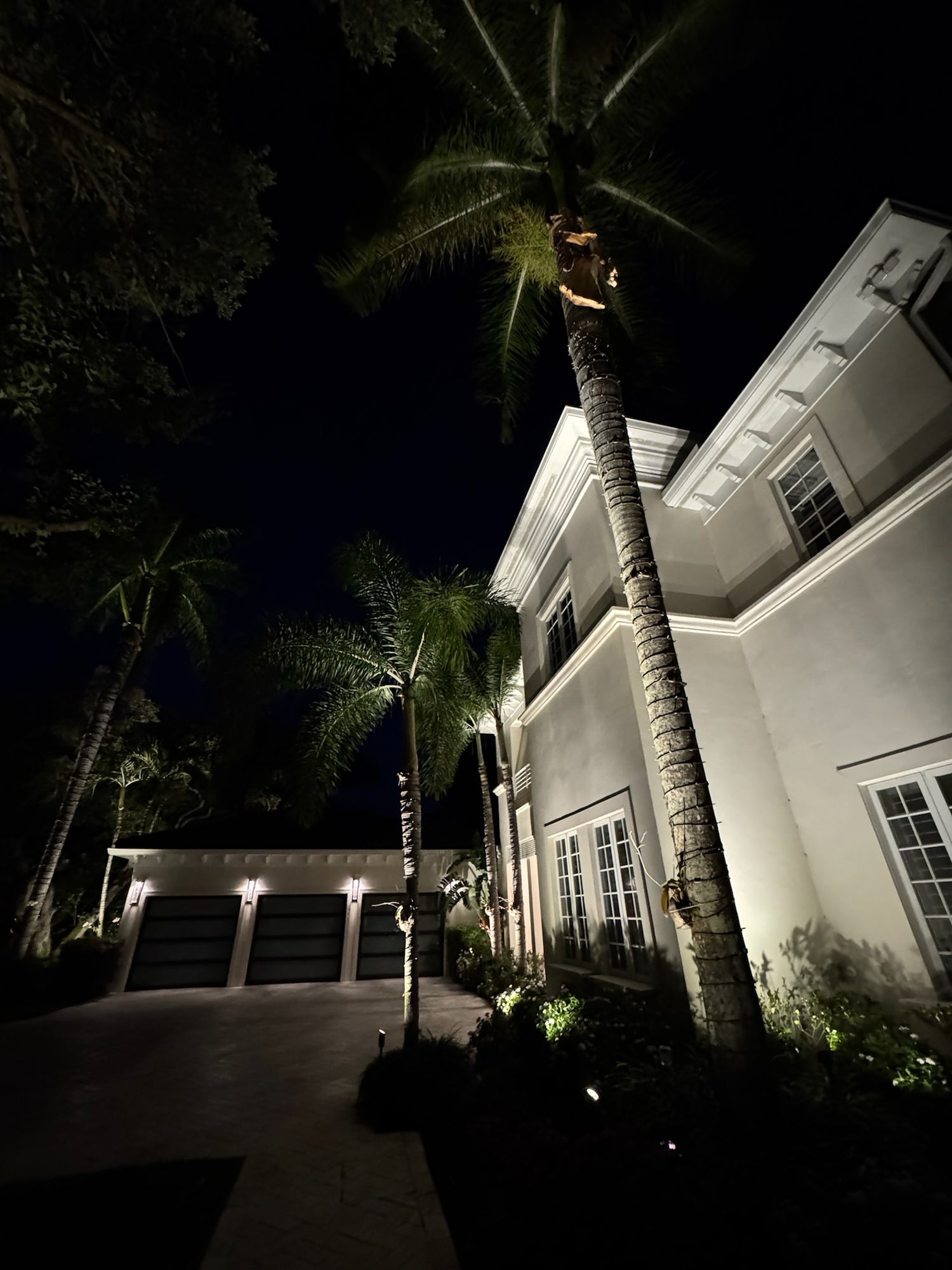 Outdoor lighting highlighting a home exterior and palm trees with warm white uplighting in Central Florida for improved curb appeal and nighttime visibility