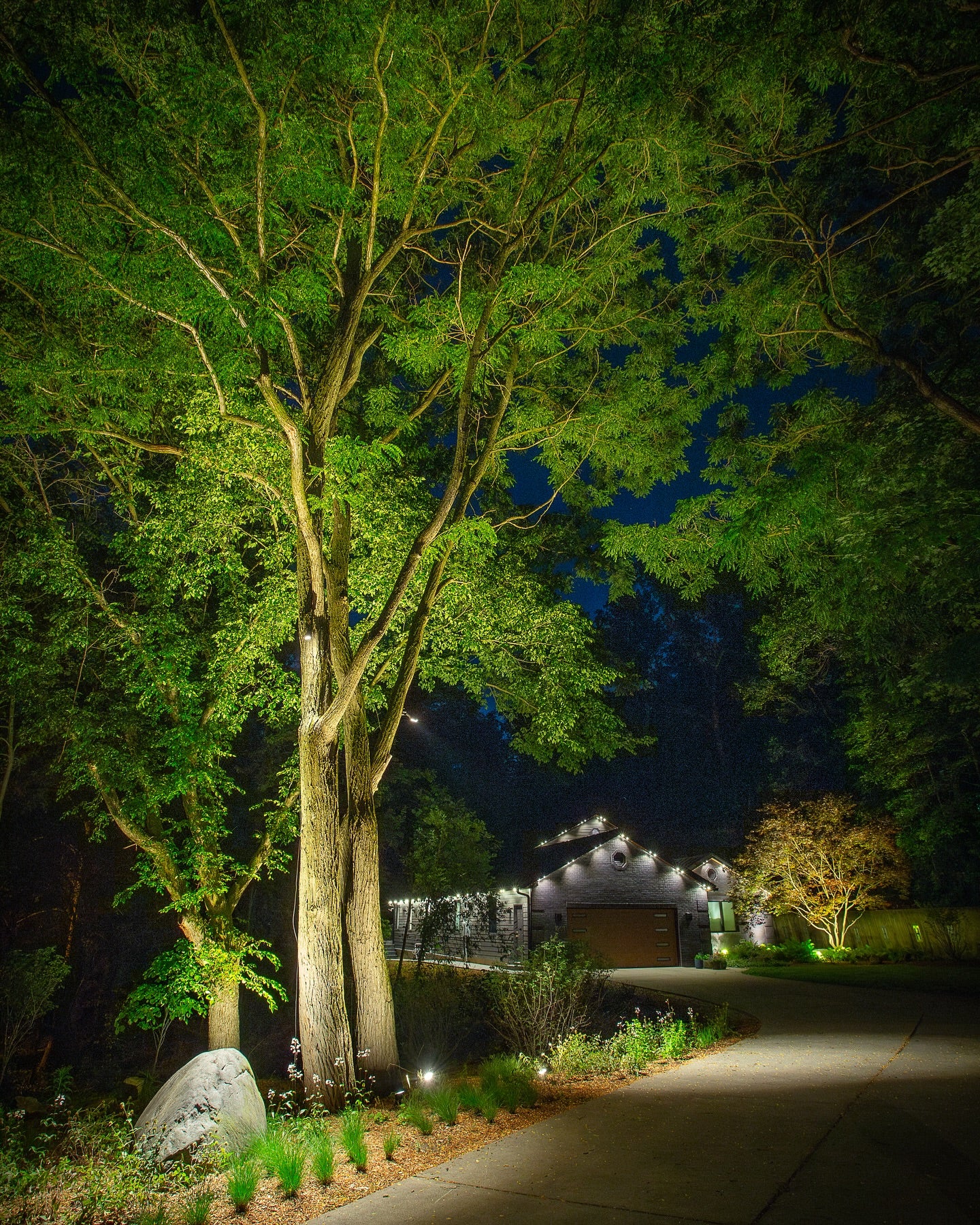 tree-uplighting-landscape-lighting-design
